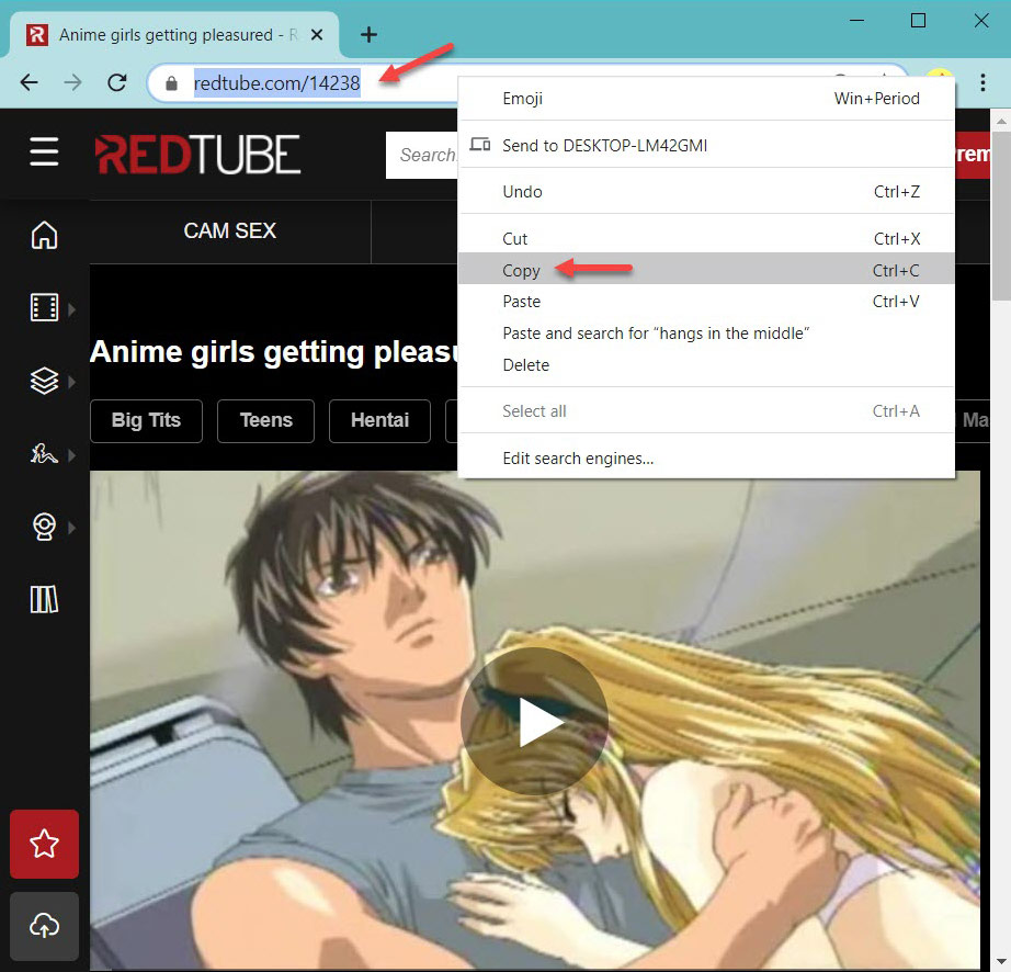 Search for RedTube video and copy the URL