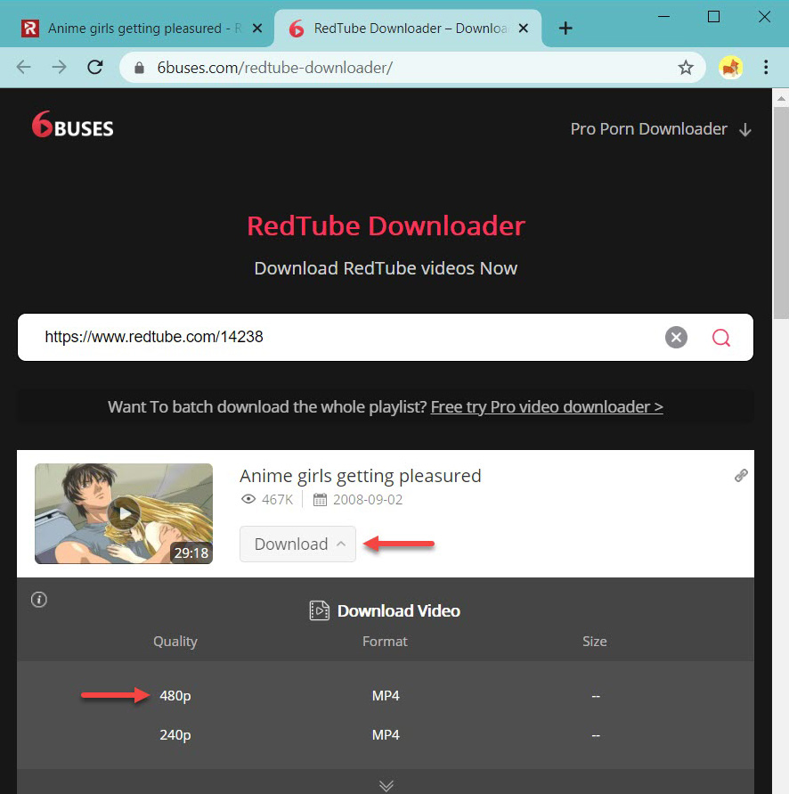 Download RedTube with 6Buses
