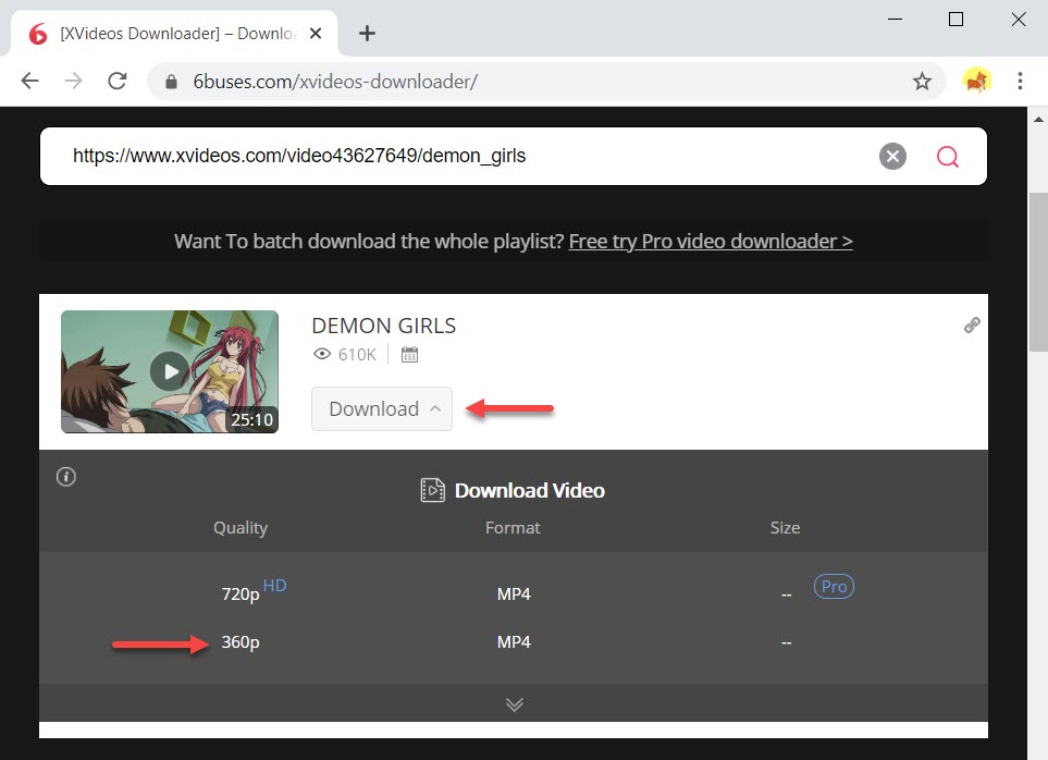 Downloader xvideos video Chrome Web