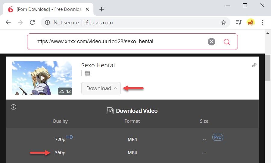 Download free porn movies with online porn downloader