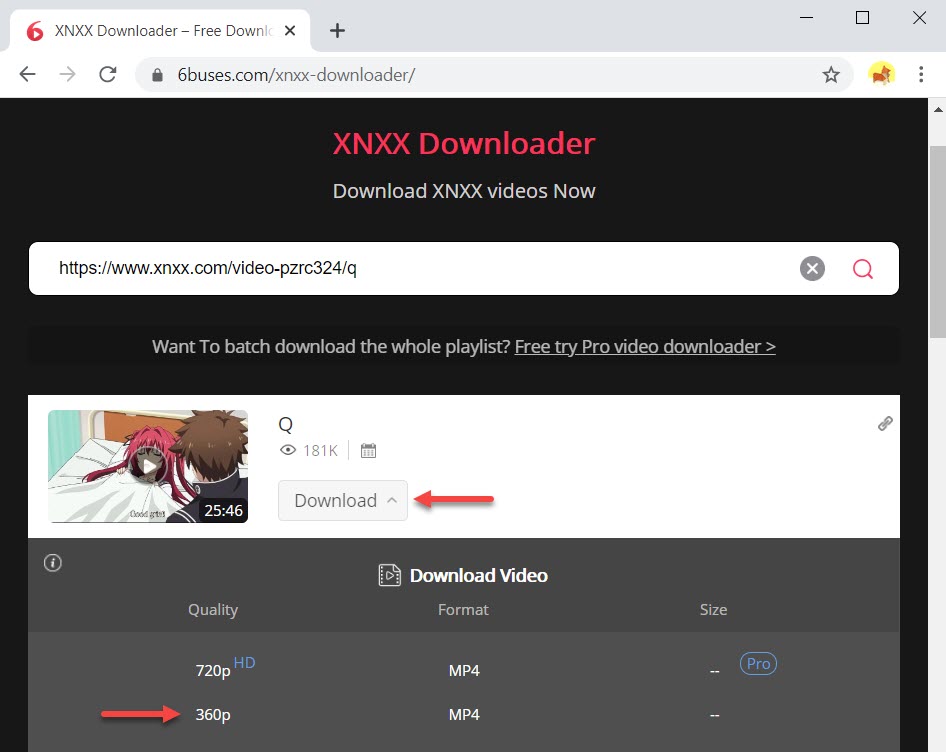 Convert XNXX MP4 online