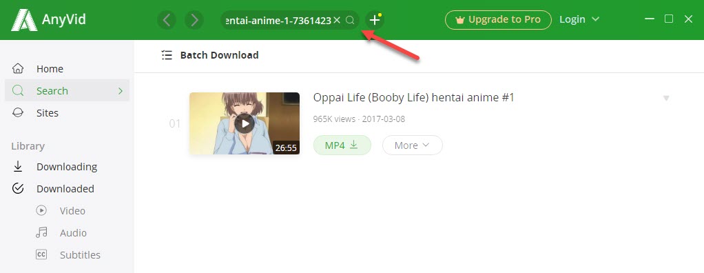 Porn download with a porn downloader
