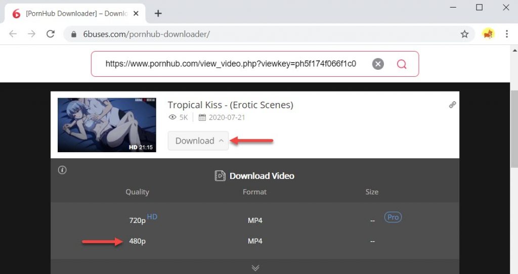 How to download from Pornhub
