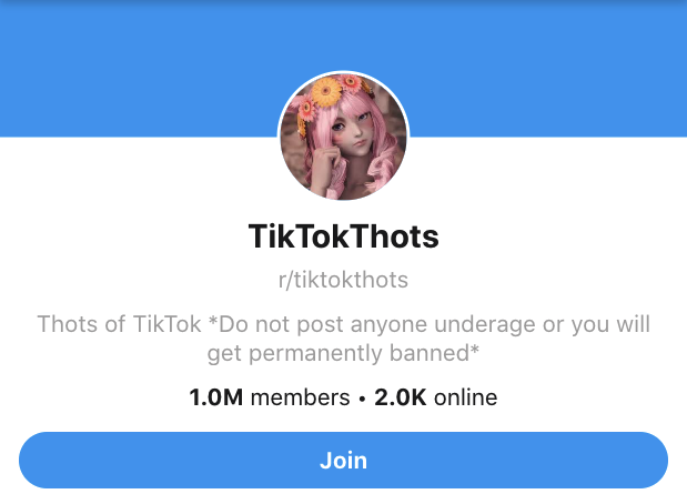 TikTok Porn on Reddit - Tiktokthots